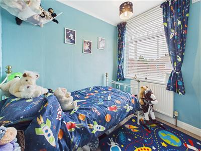 Picture 11